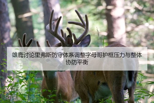 雄鹿讨论里弗斯防守体系调整字母哥护框压力与整体协防平衡