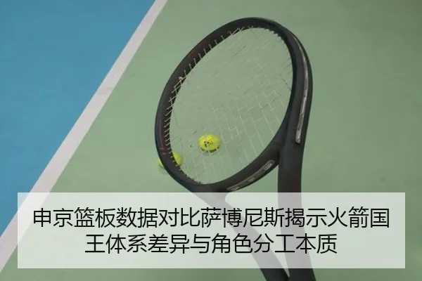 申京篮板数据对比萨博尼斯揭示火箭国王体系差异与角色分工本质
